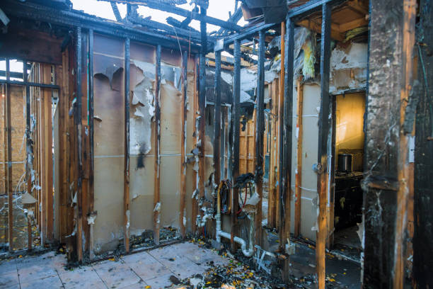 Professional Fire Damage Removal technician working in Roseau, MN